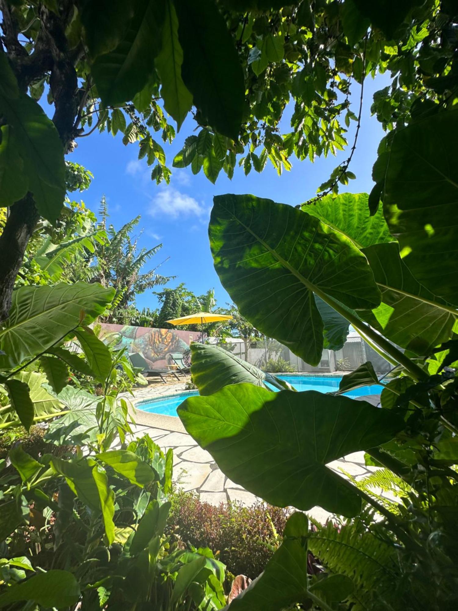 Lendormi - Maison Avec Piscine - Sainte Rose Esterno foto